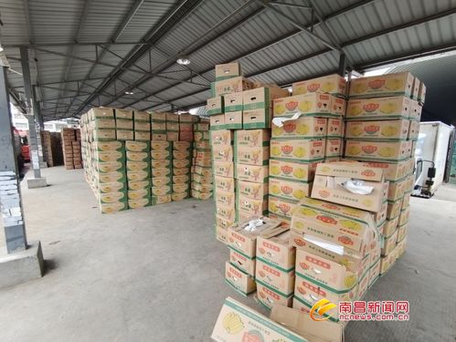 南昌最大 菜籃子 交易火熱 貨足價穩